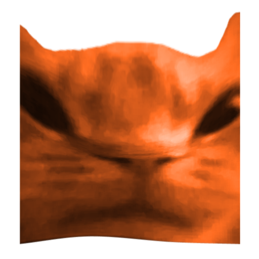 Angry Cat